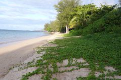 Anini-Beach-1