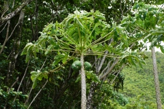 L1000668