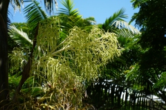 L1010161