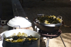 P1000750